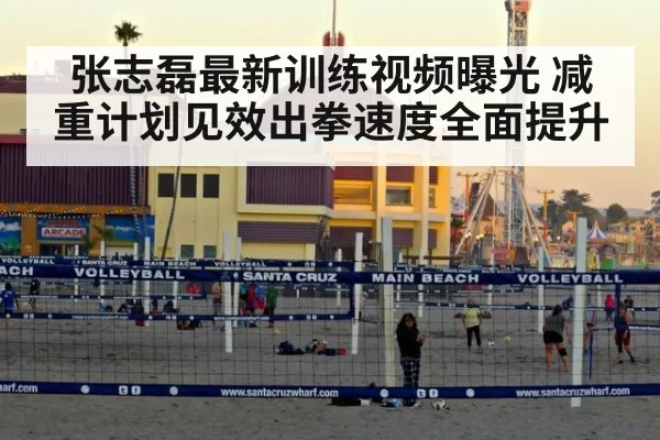 张志磊最新训练视频曝光 减重计划见效出拳速度全面提升